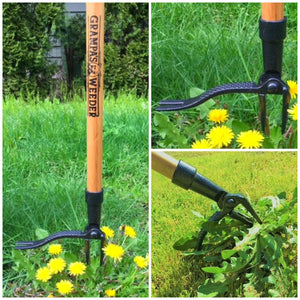 grampa's weeder weeding tool stand up deluxe heavy duty weed removal tool for dandelions