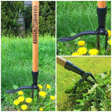Grampa's Weeder. The Original Stand Up Weed Puller. Remove Lawn & Garden Weeds. Uproot Weed Remover. Dandelion Puller. 4 claw Deluxe Weed Remover. No bend weeder. Long handled weeding tool.
