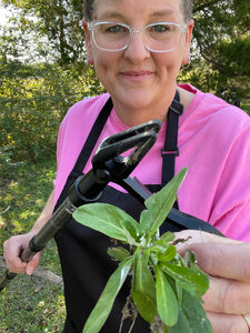 Grampa's Metal Weeder long handle stand up weed puller. Weeder tool that removes weeds without bending pulling or kneeling. Weed puller tool. Grandpas Weeder