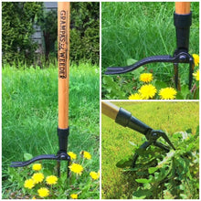 Load image into Gallery viewer, Grampa&#39;s Weeder. The Original Stand Up Weed Puller. Remove Lawn &amp; Garden Weeds. Uproot Weed Remover. Dandelion Puller. 4 claw Deluxe Weed Remover. No bend weeder. Long handled weeding tool.